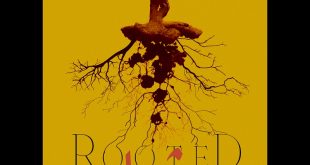 محسن تیزهوش